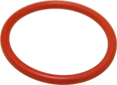 Image de Kärcher O-Ring 26.64x2.62