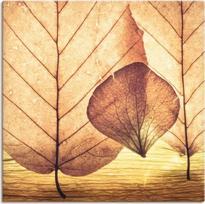 Produktbild von ARTland Leinwandbild Losgelöst Größe: 70x70 cm