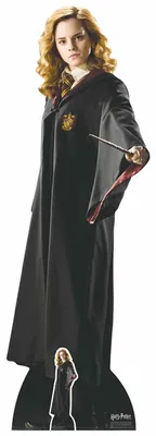 Produktbild von Harry Potter - Hermione Granger - Pappaufsteller Standy - Größe 55x163 cm