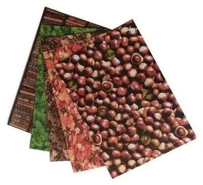 Productafbeelding van Kartonnen vel, 300g, formaat 24 x 34 cm, 5 vellen