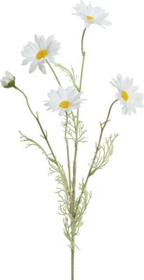 Produktbild von Künstliches Gänseblümchen mit Stiel 19x78cm Weiß / Gelb / Grün