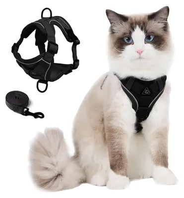 Image de Harnais et laisse pour chats, gilet en filet respirant réglable, bandes réfléchissantes, pour les promenades