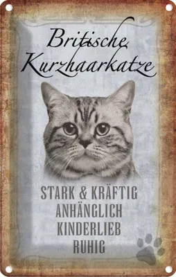 Produktbild von vianmo Blechschild 30x20 cm britische kurzhaarkatze Tier Haustier Katze