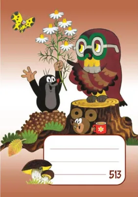 Image de Cahier d'écolier KRTEK 513 sans bois