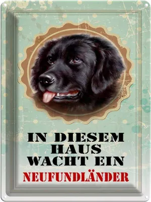Produktbild von vianmo Blechschild 40x30 cm Hund diesem Haus wacht Neufundländer