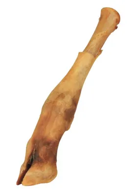 Obrázek produktu pro Trixie Jehněčí nožka - 1 ks/18 cm