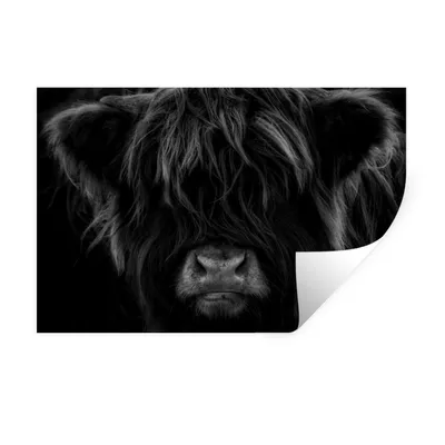 Produktbild von MuchoWow® Wandtattoo Wandsticker Wandaufkleber Schottischer Highlander - Kuh - Porträt - Tiere - Schwarz - Weiß 30x20 cm Selbstklebend und Repositionierbar - Wierderverwendbar - Selbstklebend