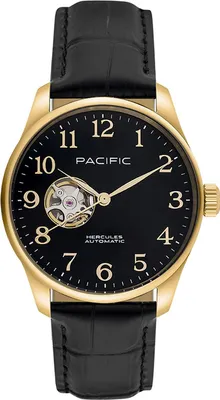 Obrázek produktu pro Hodinky Pacific Pánské Hnědé Pacific-PC00916