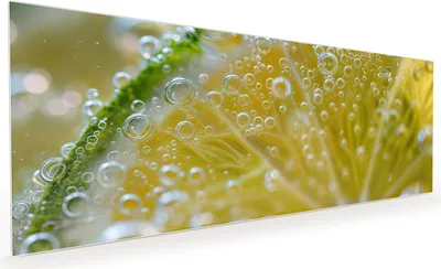 Produktbild von Küchenrückwand Spritzschutz Glas mit Motiv Zitronenscheibe 40 x 40 cm