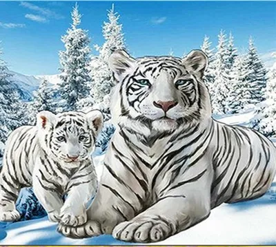 Produktbild von Malen nach Zahlen 5d Diamond Painting Weißer Tiger Malen nach Zahlen 20x20cm
