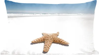 Produktbild von MuchoWow® Zierkissen Sofakissen Wohnzimmer Dekokissen 50x30 cm Seestern - Strand - Himmel - Wohnzimmerdekoration - Polster mit Photo