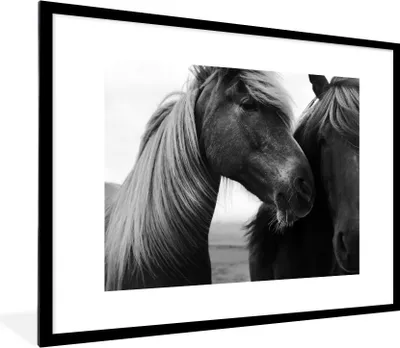 Produktbild von MuchoWow® Gerahmtes Poster Nahaufnahme von zwei Pferden 80x60 cm - Poster mit Schwarzem Bilderrahmen Wandposter Rahmen Foto Bilder - Schlafzimmer-Dekorationen - Fotoposter