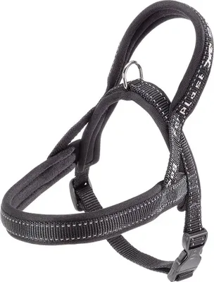 Immagine prodotto di Pettorina Sportiva Per Cani Ferplast P Xs Fucsia