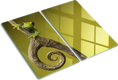 Obrázok produktu pre Sklenená ochranná doska – Kryt varnej dosky – Kryt na indukčnú dosku – 2x30x52 cm – Rýchle čistenie – Tvrdené sklo – Zelená rosnička