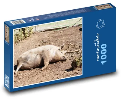 Produktbild von Puzzle 1000 Schwein auf dem Bauernhof - martinpuzzle
