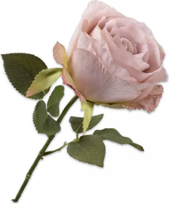 Produktbild von Silk-ka Künstliche Blume-Seidenblume-Künstlicher Zweig Rose Pink 66 cm Pro 2 Stück