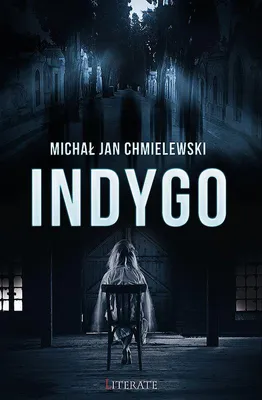 Immagine prodotto di Indygo - Thriller o mrocznych tajemnicach Baskin Zachodniego