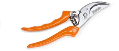 Obrázok produktu pre Záhradné nožnice Bypass Pg 20 22 Cm