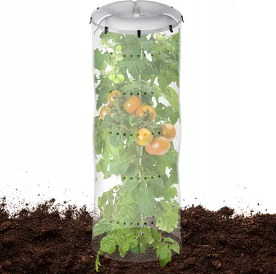 Produktbild von KADAX Abdeckplane "Urmatt", Schutzfolien für Tomaten, Tomatenreifehaube 146 cm