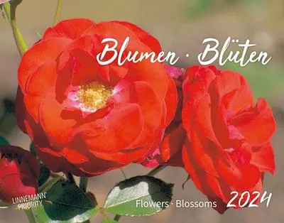 Produktbild von Blumen. Blüten 2024