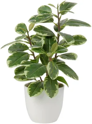 Image de Plantes artificielles de 25 cm pour la décoration intérieure