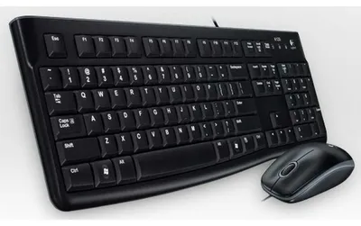 Image de Logitech Desktop MK120 - Tastatur-und-Maus-Set - USB - US International (920-002563)