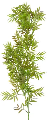 Produktbild von Clayre & Eef 5PL0354GR Dekoration Zweig Grün 120 cm
