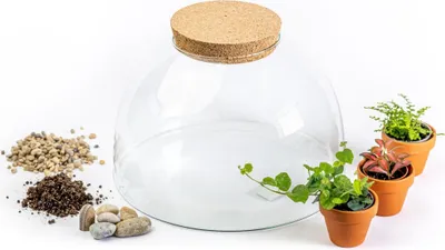 Obrázek produktu pro Gardners Skleněná dóza AURINIA OSÁZEJ SI SÁM vlhkomilně, L