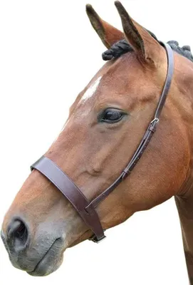 Produktbild von Blenheim - Nasenriemen Hunter, Leder ER173 (XFull) (Braun)