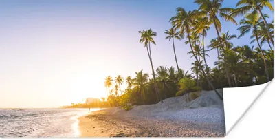 Produktbild von MuchoWow® Poster Palmen am Strand bei Sonnenaufgang 160x80 cm - Foto Poster