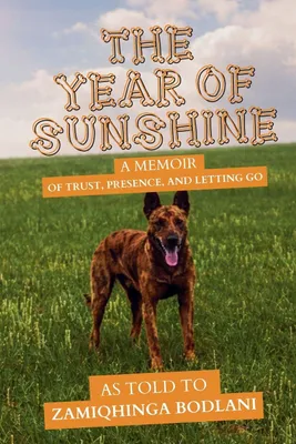 Produktbild von The Year of Sunshine