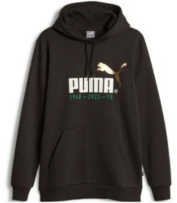 Image de Sweat à capuche Puma 676021-01 pour Homme