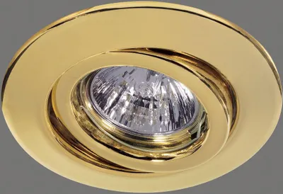 Immagine prodotto di 989.69 PAULMANN QUALITY LAMPADA DA INCASSO max. 50 W oro
