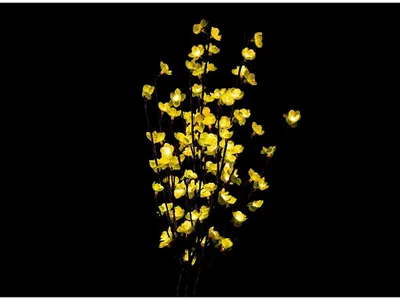 Lichterkette 2 m, 20 LEDs, kaltweiß, mit Batterien & Fernbedienung