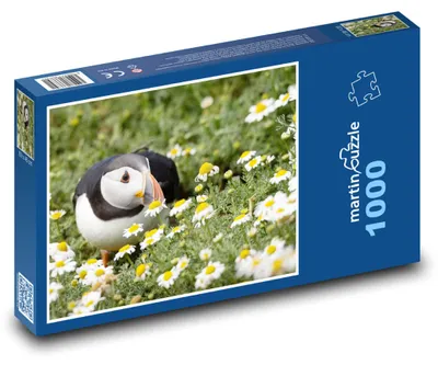 Zdjęcie produktu dla martinpuzzle - Puzzle 1000 - Pták - Papuga