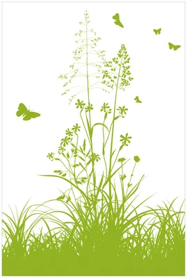 Produktbild von Wallario Premium Glasbild, freischwebende Optik, kräftige Farben, Größe 90 x 60 cm Motiv Grüne Sommerwiese