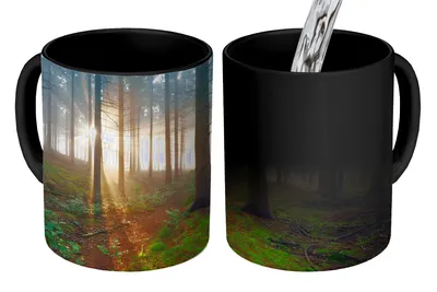 Obrázek produktu pro MuchoWow® Kouzelný pohár Les - strom - rostlina 350 ml Barva měnící se pohár Dárkový nápad - foto hrnek
