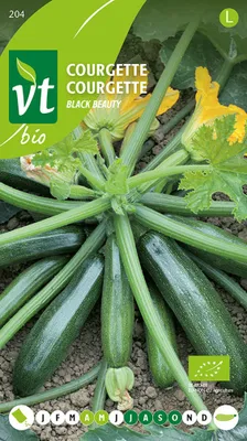 Obrázek produktu pro Cuketa Black Beautysemena - cca. 1,5 gr | VT_204
