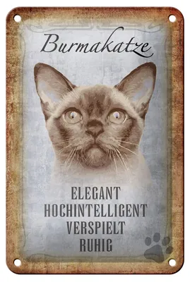 Produktbild von Blechschild Spruch 12x18cm Burmakatze Katze Schild