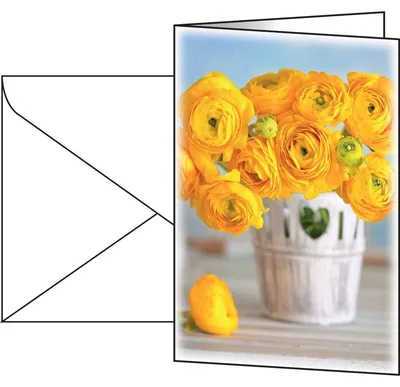 Zdjęcie produktu dla SIGEL DS104 10 SIGEL Grußkarten Ranunculus DIN A6