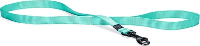 Produktbild von Karlie Art Sportiv Plus - Hundeleinen - M - Nylon - Minze - 100x2 cm