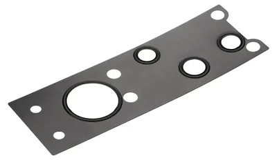 Produktbild von Flanschdichtung für Nebenantrieb 500368070