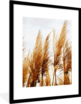 Produktbild von MuchoWow® Gerahmtes Poster Pampasgras - Sonne - Gras 60x80 cm - Poster mit Schwarzem Bilderrahmen Wandposter Rahmen Foto Bilder - Wohnzimmer - Dekorationen - Prämie