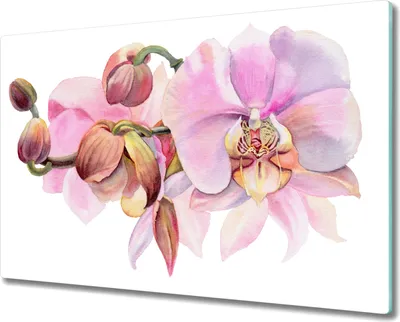 Produktbild von Coloray Hackbrett Kochplattenabdeckung Herdabdeckplatte 80x52 cm Schneidebrett Küchenbrett - Aquarell Orchideenblüte