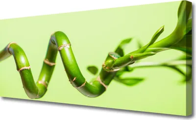 Produktbild von Tulup Leinwand-Bilder 125x50 Wandbild Canvas Kunstdruck Bambusrohr Pflanzen