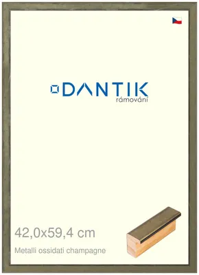 Obrázek produktu pro DANTIK rámeček 42x59,4 | Metalli oidati champagne (Plexi Čiré)