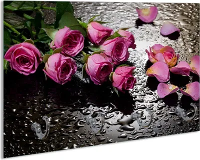 Produktbild von Wallario Schlüsselbrett aus Glas, Motiv: Pinke Rosen mit Wassertropfen, 30 x 20 cm mit 4 Haken
