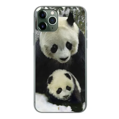 Produktbild von MuchoWow® Handyhülle Schutzhülle Hülle für iPhone 11 Pro Panda - Jungtier - Schnee Silikon Softcase Handy Hülle - Handy