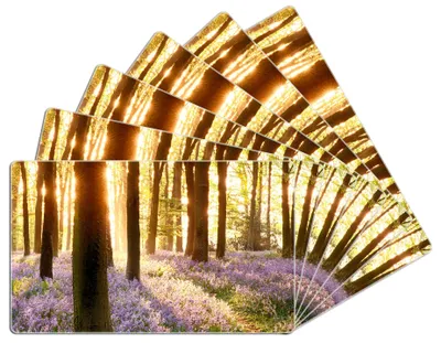 Produktbild von Wallario Frühstücksbrettchen 6er Set aus Glas, je 14 x 23 cm, mit rutschfesten Füßen, Motiv Blaue Hasenglöckchen im Wald mit Sonnenstrahlen