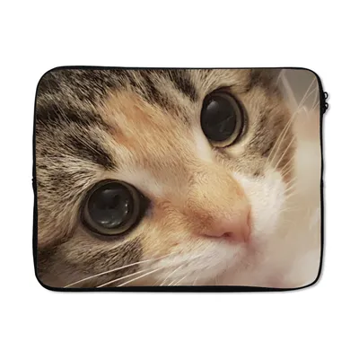 Produktbild von MuchoWow® Laptop Hülle 15 Zoll Eine Nahaufnahme eines Kätzchens Laptoptasche - Laptoptasche - Sleeve - Rundum-Schutz